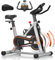 Bicicleta Estatica, Bici Estatica Profesional DMASUN con Mayor Resistencia Magnética, Más Silenciosa, Cómoda y Estable, Capacidad de Carga de Hasta 160 kg (Funda Sillin Bicicleta Estatica Incluida)