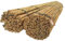 DIXIE STORE Bambusstangen | Bambusstangen Set Blumenstützen | Robuste Pflanzstäbe aus Bambus, 75 cm x 8-10 mm, 25 Stück, Breiter Einsatz, Pflanzenstütze, natürliche Farbe