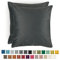 Blumtal 2er Set Kissenbezug 50x50 cm Anthrazit - dekorativer Samt Kissenbezug mit verstecktem Reißverschluss, Kissenhülle für Zierkissen Deko-Kissen Polster Sofakissen & Couchkissen, waschbar