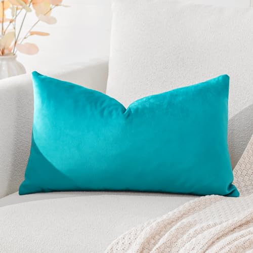 Artscope Luxury Velvet Cushion Covers Super Soft Decorative Throw Pillow Covers Case Lumbar Cushion Cases for Sofa Couch Bedroom Car Decor 30x50cm Turquoise