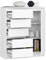 BDW - Kommode mit 5 Schubladen und 1 Tür - 80 cm breit, 97 cm hoch - Schrank, Sideboard, Mehrzweck-, Schuhschrank, Schubladenkommode, Aktenschrank - Wohn-, Schlafzimmer, Flur (Weiss)
