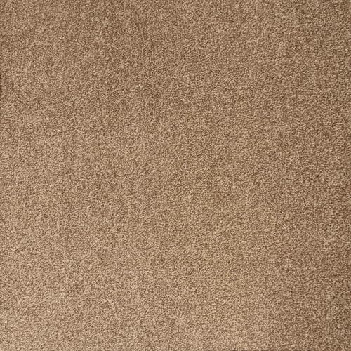 Underfoot Felt-Backed Carpet - Durable Twist Pile Carpet Bleach-Cleanable & Stain-Resistant | Easy Fit DIY Friendly Carpets (Biscuit, 5m x 3m)
