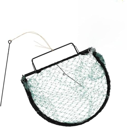 LoogCape Fågelfälla, grön, 30 cm, stål, hållbar, återanvändbar för trädgård och hem, mänskligt djurskydd för fåglar, insekter, myggor, getingar, sorkar, mård, balkar, frukt, skydd