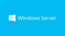 Microsoft Windows Server 2019 Standard - Operating Systems (Delivery Service Partner (DSP), 1 license(s), 32 GB, 0.512 GB, 1.4 GHz, 2048 MB)