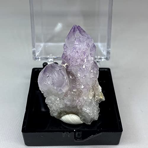 XIALITR Amethyst Rohstein Südafrika Kaktus Amethyst Geist Quarz Kristall Cluster Kristalle Heilung Quarz (Box Größe 3,4 cm) (Color : Style 1)