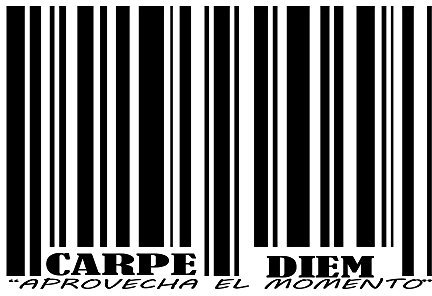 Frase Vinilo CARPE DIEM. Vinilos decorativos (Vinilo de corte, 90x60cm)