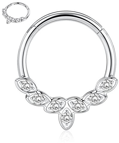 AROWRO 316L Silber Septum Schmuck 16G Ringe Daith Conch Piercing Higend Segment Nase Hoops Hoop Clicker Rook Helix Tragus Knorpel Lobe Ohrringe 10mm