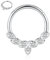 AROWRO 316L Silber Septum Schmuck 16G Ringe Daith Conch Piercing Higend Segment Nase Hoops Hoop Clicker Rook Helix Tragus Knorpel Lobe Ohrringe 10mm