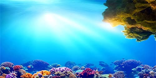 MIRRORANG 120x50cm Unterwasser Aquarium Hintergrund Sonnenschein Blau Meer Korallenriff Unterwasserwelt Aquarium Poster Hintergrund