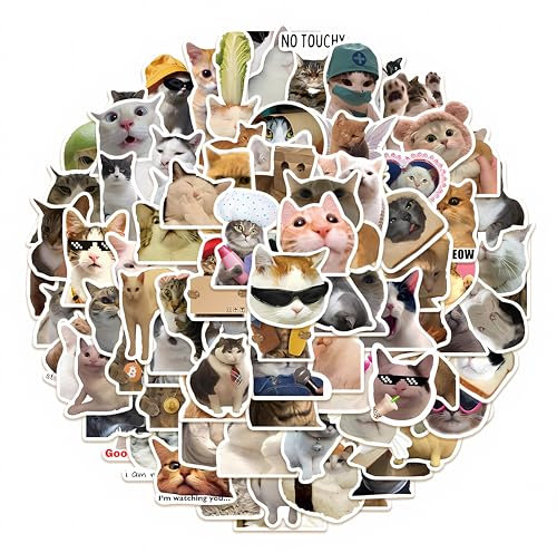 FloraVigo Lustiges Katzen Aufkleber Set, 100 Stück, süße Katzen Aufkleber wasserfeste Vinyl ästhetische für Katzenliebhaber Wasserflaschen Sammelalbum Telefon (Katze)