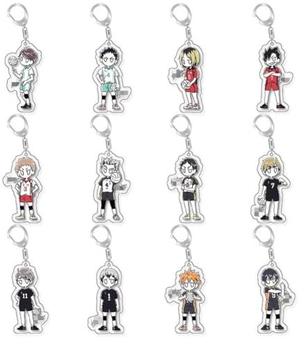 FEIDIAO Haikyu Schlüsselanhänger Hinata Shoyo Acryl Schlüssel Anhänger Anime Rolle Tobio Kageyama Chibi Figur Schlüsselring Tasche Dekor Zubehör 12pcs
