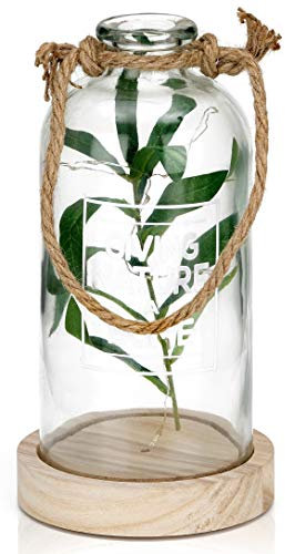 BRUBAKER Bottiglia luminosa decorativa 23 cm con ramoscelli d'ulivo e 10 luci LED da appendere