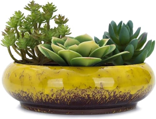 Macetas redondas grandes de cerámica esmaltada para suculentas de 7.3 pulgadas con agujero de drenaje, macetas de bonsái decorativas para jardín, soporte de cactus (amarillo)