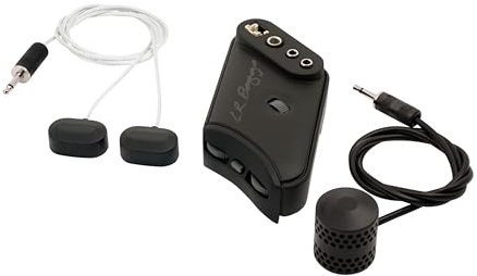 LR Baggs HiFi Duet