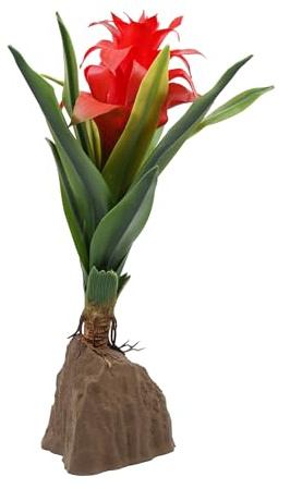 Lucky Reptile Bromelia Grande Rosso