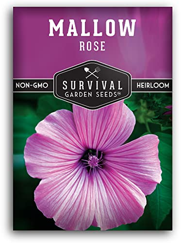 Rose Mallow Seeds for Planting - Annual Lavatera Trimestris with Bright Pink Flowers for Easy Cottage Garden Blooms - Drought Tolerant Heirloom - Survival Garden Seeds (1 Pack)