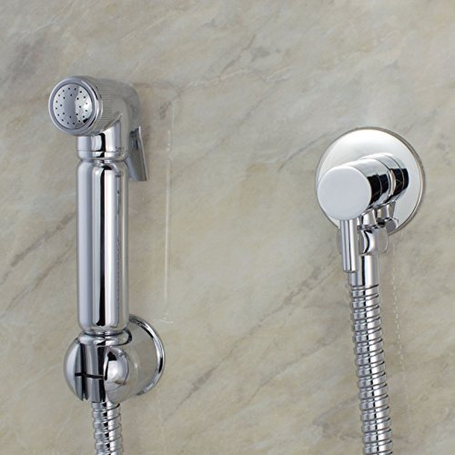 Nes Home Modern Chrome Handheld Bidet Douche Toilet Spray Kit