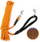 PETTOM Longe Chien 3m 5m 10m 15m 20m, Laisse Chien Longue avec 2 Mousquetons, Longe Corde d'attache Réfléchissante, 3m, Orange