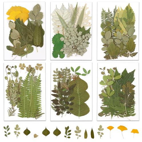 126 Stück Getrocknete Gepresste Blätter,Getrocknete Blätter,Trockenblumen Grün,für DIY Kerzen,Harz Schmuck,Seife,Fotorahmen,Anhänger(grün)