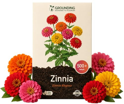 Grounding - Semi di Zinnia Elegans “Zinnita Mix”, 350+ semi - Fiori globosi compatti multicolore per vasi, cassette e aiuole - Copertura 15-20 m² - Qualità Europea
