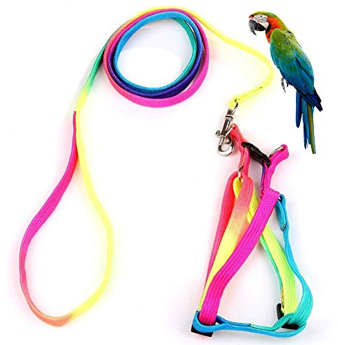 Hypeety Harnais et Laisse pour Animal de Compagnie avec Boucle Adorable Motif Arc-en-Ciel, Laisse sûre pour Perroquet, Harnais d'extérieur réglable Anti-Morsure, Corde d'entraînement pour Ara, Oiseau