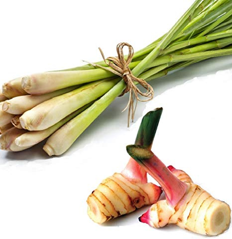 Pamai Pai® SET: 100g Frischer Galgant + 100g Frisches Zitronengras Thai Gemüse zum Kochen