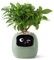 PLANTSIO Smart Pet Robot de jardinage avec émojis pour l'entretien des plantes avec émojis, adorable compagnon de plante avec interaction gestuelle riche, cadeau d'installation de bureau soignée
