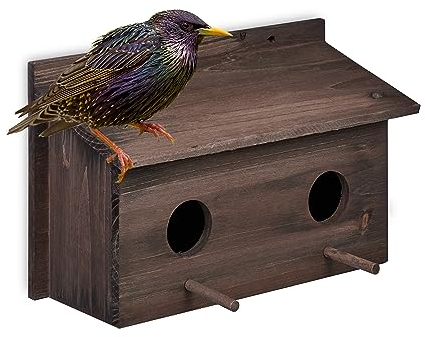 Relaxdays Nistkasten für Stare, natürliches Tannenholz, 2X Einflugloch 5 cm, Sitzstange, Vogelhaus zum Aufhängen, braun, 1 Stück