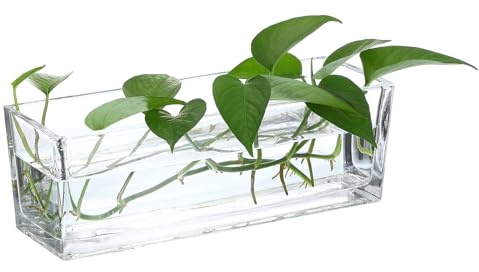 PATIKIL Rechteckige Glasvase 30x10x10 cm, 1 Stück Klarer Pflanzentopf Terrarium für Hochzeit