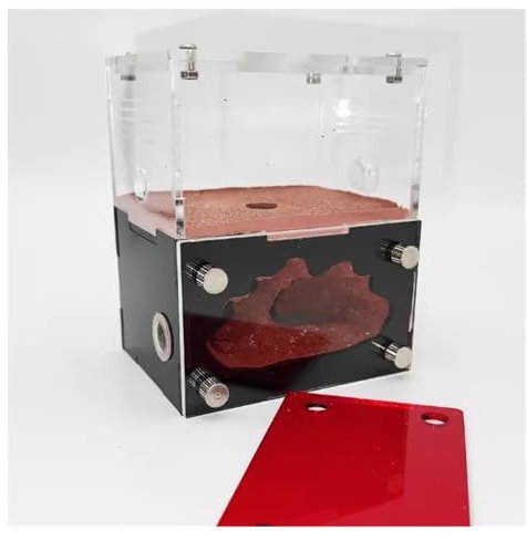REIFOR Ameisenfarm Formicarium Betonameisenfarm, Feuchtigkeitsspendender Wasserturm, Ameisennest, Farm aus Acryl, Ameisenburg für die naturwissenschaftliche Bildung, geeignet für Kinder und Erwachsene