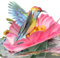 OFFCUP Geburtstagskarte, 3D Pop Up Grußkarten Geburtstag mit Umschlag, 3D Pop Up Geburtstagskarten Pfingstrosenvogel 3D Pop Up Karte, Geburtstag Grußkarte für Frau Männer