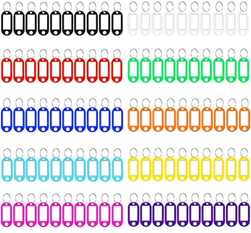 100 Stück Schlüsselanhänger – 10 Farben, Kunststoff Schlüsselanhänger Beschriftbar Schlüsselschilder mit Schlüsselringen Key Label zum Schlüssel Koffern Haustieren Markieren