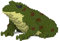 JEKCA Frog 01S-M02 | Plastikbausteine | Ab 14 Jahren