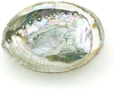 Bunte große Abalone-Schale, 10,2-11,4 cm, natürliche Verschmierschale zum Verbrennen von Salbei und Räucherstäbchen, zum Verschmieren von Muscheln für Dekoration und Präsentation