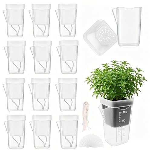 Jadyon Lot de 12 Pots Auto-arrosants Transparents Mini Design Double Couche, avec système d'arrosage, en Plastique, mèche en Coton Fin, Pot à Herbes Auto-arrosant pour Plantes d'intérieur Alocasia