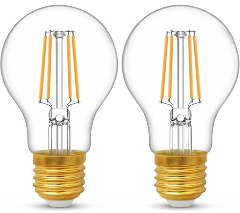 YUNRRD E27 Screw LED Edison Bulb,6W(60 Watts Equivalent),Warm White 2700K E27 Light Bulb,Energy Saving Screw in Light Bulb,A60 Clear ES LED Filament Bulbs,600 Lumen,220-240V,Non-Dimmable,2 Packs