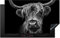KitchenYeah© Induction Hob Protector Mat 20.5x33.5 / 85x52 cm Stove Cap Top Cover Kitchen Cooker Covers for Electric Hobs Vinyl Scottish Highlander - Horns - Black - White - Cow