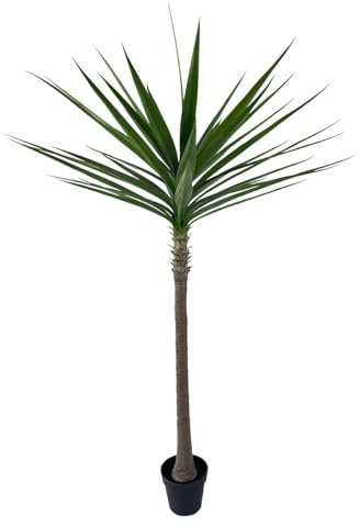Alonfale 6FT Artificial Yucca Tree Faux Agave Plant Indoor Outdoor Decorative Plant for Home and Office - Realistic Fake Tree, (Green, 6FT)