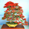 Bloom Green Co. 100 Unids Exóticos Azalea Japonesa Bonsai, Azalea Rododendro Mixta, Azalea Flor Bonsai Ãrbol Diy Seedssplant Para Jardín De Su Casa: 16