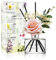 Cocodor Rosenblüten-Diffusor, weißer Jasmin, 190 ml, 1 Packung, Raumduft, ätherisches Öl, Stab-Diffusor für Schlafzimmer, Badezimmer, Heimdekoration