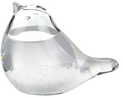 Dongzhi Wettervorhersage aus Sturm-Glas, Vogelform, Wettervorhersage, Sturmglas, dekoratives Barometer für Geburtstag