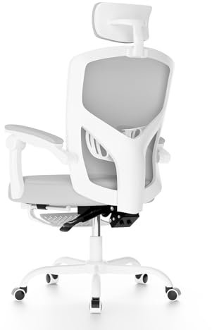 naspaluro Ergonomic Office Chair with Footrest, High Back Mesh Office Chair with Lumbar Support, Computer Desk Chair with Headrest, Reclining Desk Chairs for Home Office-Gray