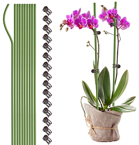 WIVAYE Pflanzenstützstäbe mit 15 Pflanzenclips, 40,6 cm hoch, Einzelstiel-Blumenstecker, biegbar, kunststoffbeschichtet, Garten-Pflanzstäbe für Amaryllis, Orchidee, Lilie, Rose, Tomaten, 10 Stück