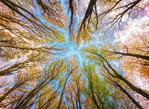7000-teiliges Puzzle mit Waldlandschaft, ideal für Entspannung und Meditation, Lernspiel