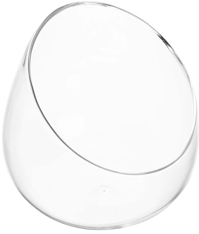 SUPVOX Schräg Geschliffene Glasvase Mikrolandschaft Glasflasche Durchsichtiges Terrarium Borosilikatglas für Sukkulenten und Wohn und Bürodekoration