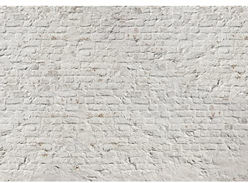 Runa Art Papier peint intissé Mur de briques effet 3D 352 x 250 cm Toison Mur XXL Tableaux Muraux Tapisserie Photo Décoration Murale Salon Chambre blanc 9020011a