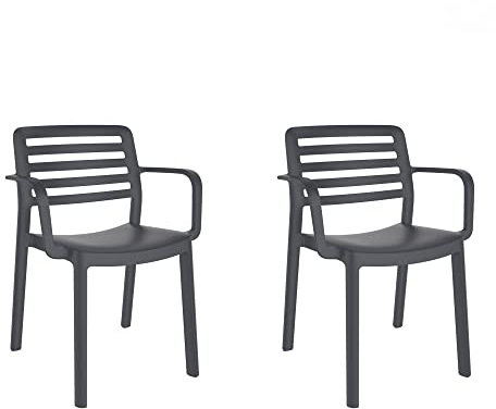 GARBAR Wind Set 2 Silla con Brazos Interior, Exterior | jardín, terraza, balcón, Salon, Cocina, Comedor | diseño, Ligero, apilable | Gris Oscuro