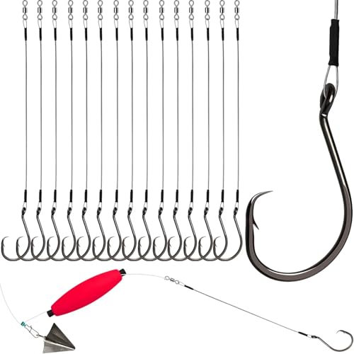 Dovesun 20PCS Fishing Hooks Set Circle Hooks for Catfish Hooks Catfish Rigs Saltwater Freshwater Five Sizes 10/0 Pre-rigged Circle Hooks Wire Leader