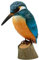 WILDLIFEGARDEN Wildlife Garden WG4454 DecoBird Eisvogel - Handgeschnitzter Dekorative Vogel aus Holz - Mittelgroße Europäische Vögel