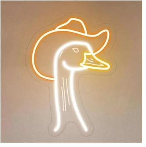 Riderai enseigne lumineuse au néon Lampe enseigne lumineuse néon avec chapeau d'oie et cowboy rigolo, 33 cm x 24(B)